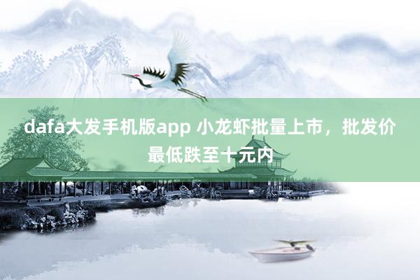 dafa大发手机版app 小龙虾批量上市，批发价最低跌至十元内