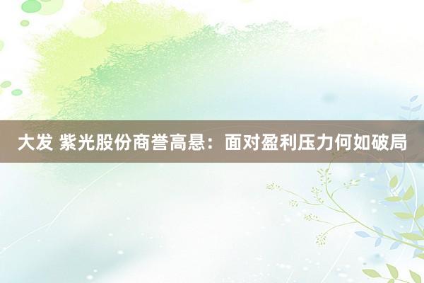 大发 紫光股份商誉高悬：面对盈利压力何如破局