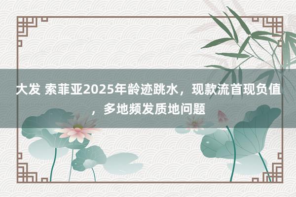 大发 索菲亚2025年龄迹跳水，现款流首现负值，多地频发质地问题