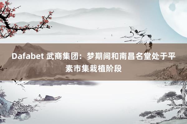 Dafabet 武商集团：梦期间和南昌名堂处于平素市集栽植阶段