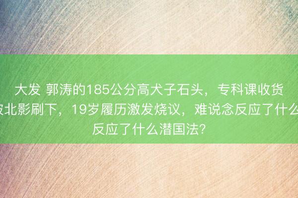 大发 郭涛的185公分高犬子石头，专科课收货出色却被北影刷下，19岁履历激发烧议，难说念反应了什么潜国法？