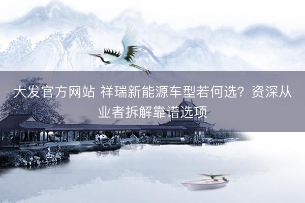 大发官方网站 祥瑞新能源车型若何选？资深从业者拆解靠谱选项